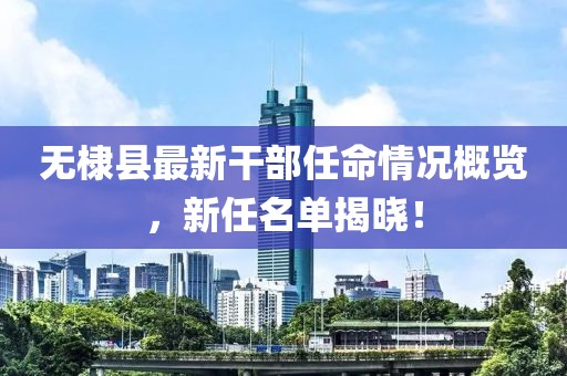 无棣县最新干部任命情况概览，新任名单揭晓！