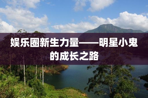 娱乐圈新生力量——明星小鬼的成长之路