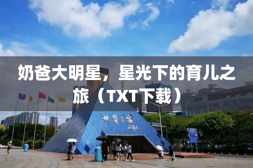 奶爸大明星，星光下的育儿之旅（TXT下载）