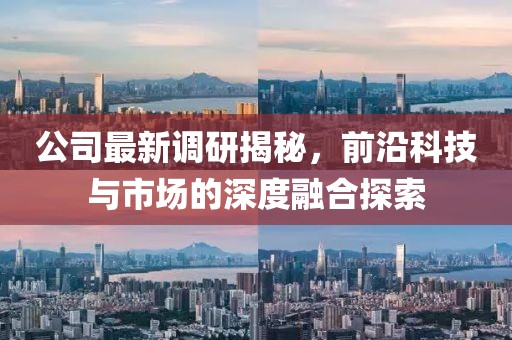公司最新调研揭秘，前沿科技与市场的深度融合探索