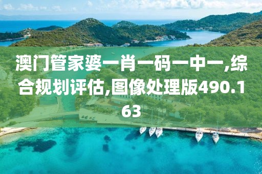澳门管家婆一肖一码一中一,综合规划评估,图像处理版490.163