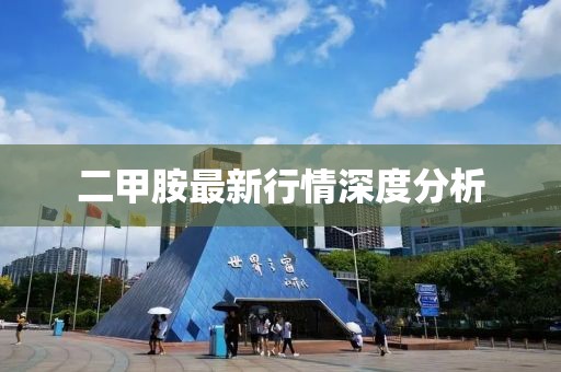 二甲胺最新行情深度分析