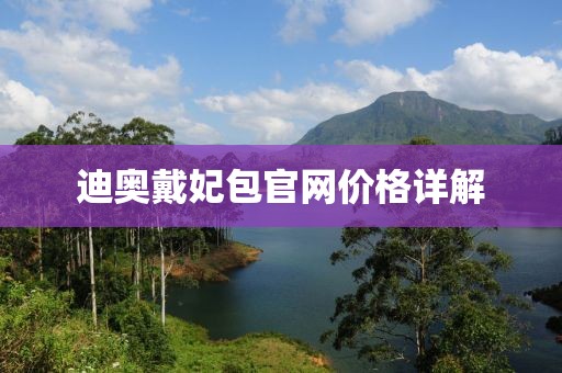 迪奥戴妃包官网价格详解