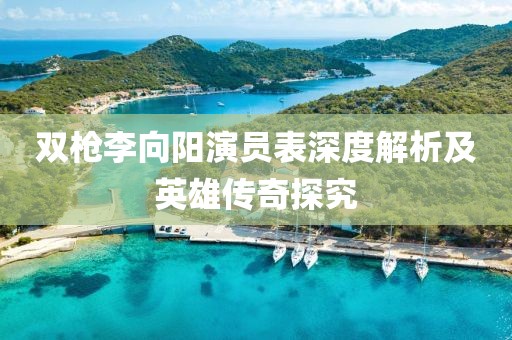双枪李向阳演员表深度解析及英雄传奇探究