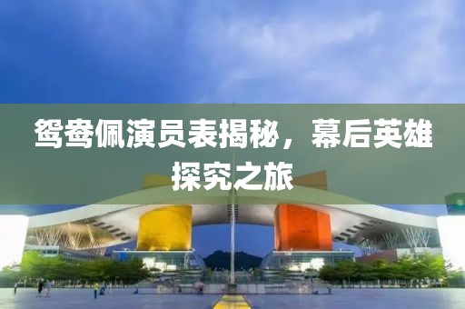 鸳鸯佩演员表揭秘，幕后英雄探究之旅