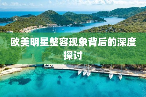 欧美明星整容现象背后的深度探讨
