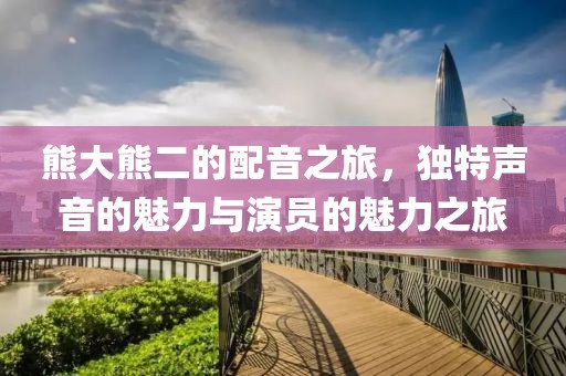 熊大熊二的配音之旅，独特声音的魅力与演员的魅力之旅