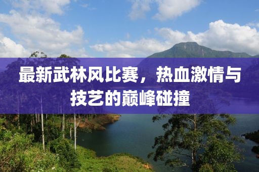 最新武林风比赛，热血激情与技艺的巅峰碰撞