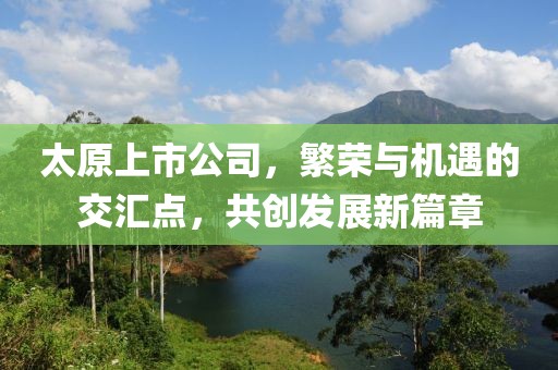 太原上市公司，繁荣与机遇的交汇点，共创发展新篇章
