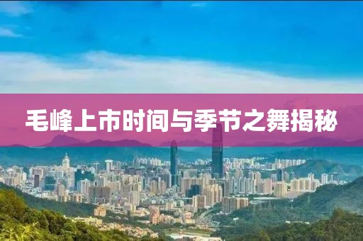 毛峰上市时间与季节之舞揭秘