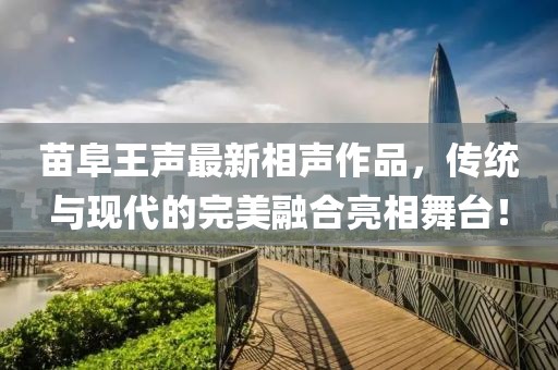 苗阜王声最新相声作品，传统与现代的完美融合亮相舞台！