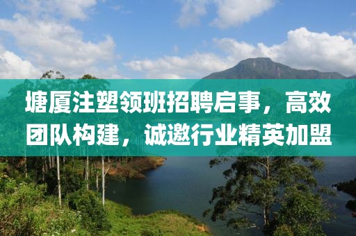 塘厦注塑领班招聘启事，高效团队构建，诚邀行业精英加盟