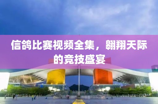 信鸽比赛视频全集，翱翔天际的竞技盛宴