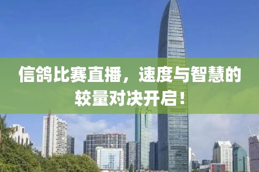 信鸽比赛直播，速度与智慧的较量对决开启！