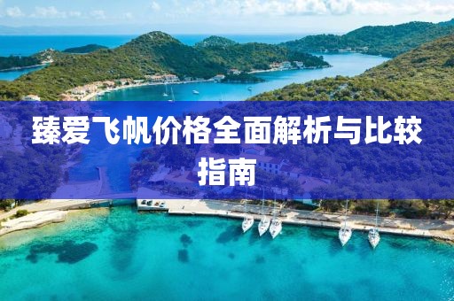 臻爱飞帆价格全面解析与比较指南
