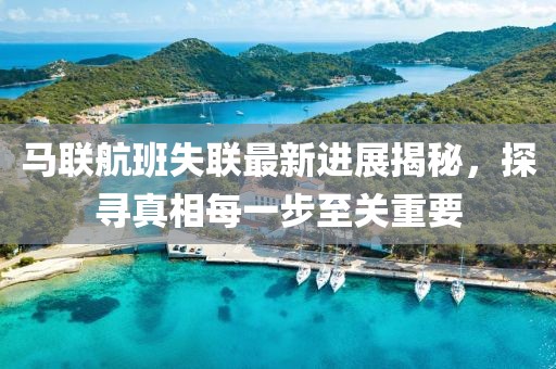 马联航班失联最新进展揭秘，探寻真相每一步至关重要
