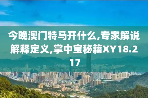 今晚澳门特马开什么,专家解说解释定义,掌中宝秘籍XY18.217