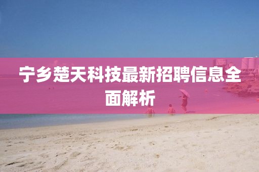 宁乡楚天科技最新招聘信息全面解析