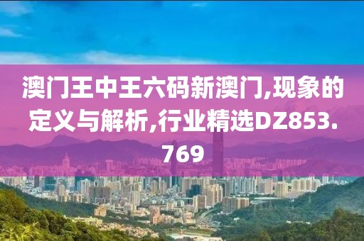 澳门王中王六码新澳门,现象的定义与解析,行业精选DZ853.769