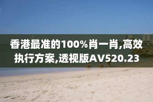 香港最准的100%肖一肖,高效执行方案,透视版AV520.23