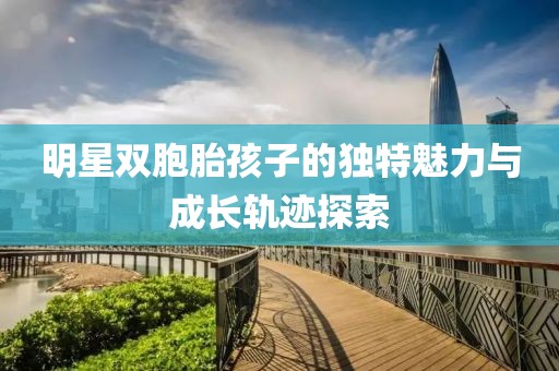 明星双胞胎孩子的独特魅力与成长轨迹探索
