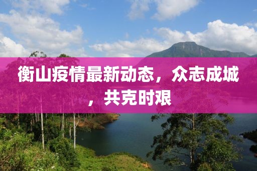 衡山疫情最新动态，众志成城，共克时艰