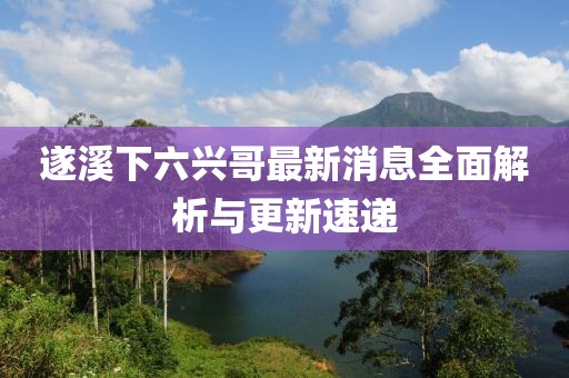 遂溪下六兴哥最新消息全面解析与更新速递