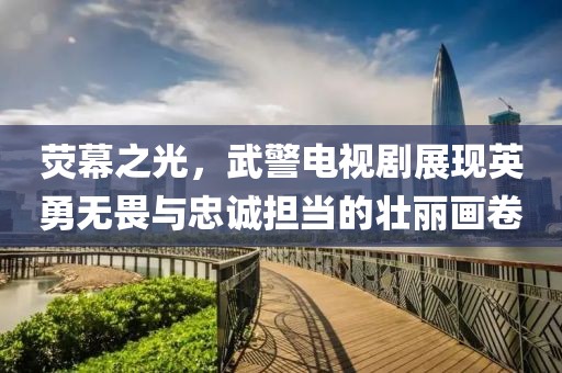 荧幕之光，武警电视剧展现英勇无畏与忠诚担当的壮丽画卷