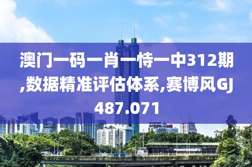 澳门一码一肖一恃一中312期,数据精准评估体系,赛博风GJ487.071