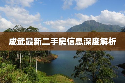 成武最新二手房信息深度解析