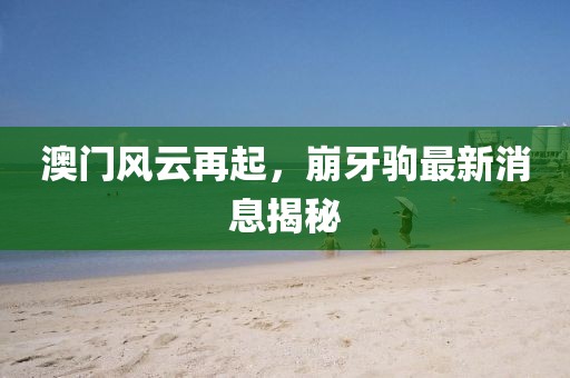 澳门风云再起，崩牙驹最新消息揭秘