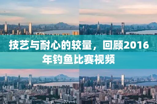 技艺与耐心的较量，回顾2016年钓鱼比赛视频