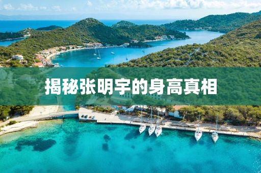 揭秘张明宇的身高真相