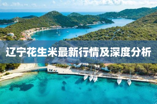 辽宁花生米最新行情及深度分析