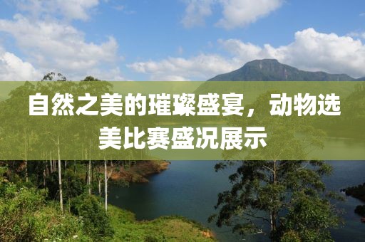 自然之美的璀璨盛宴，动物选美比赛盛况展示