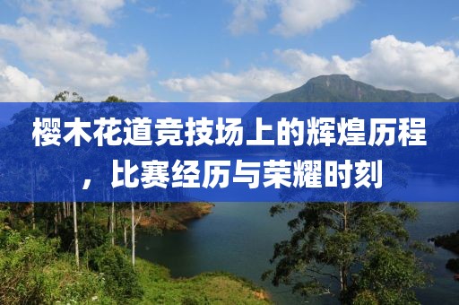 樱木花道竞技场上的辉煌历程，比赛经历与荣耀时刻