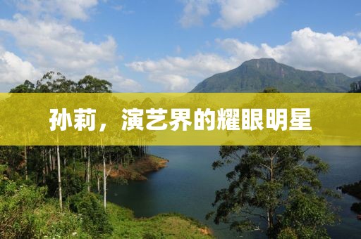 孙莉，演艺界的耀眼明星