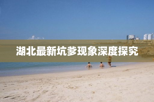 湖北最新坑爹现象深度探究
