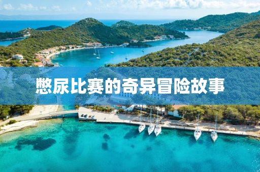憋尿比赛的奇异冒险故事