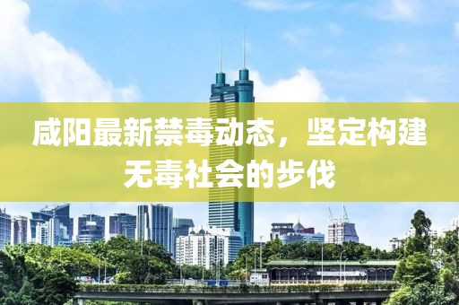 咸阳最新禁毒动态，坚定构建无毒社会的步伐