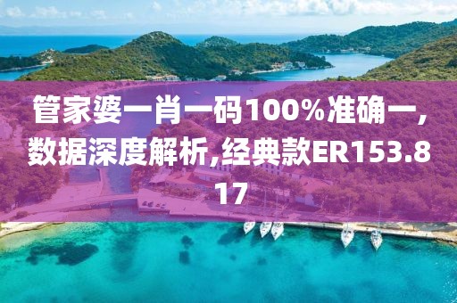 管家婆一肖一码100%准确一,数据深度解析,经典款ER153.817