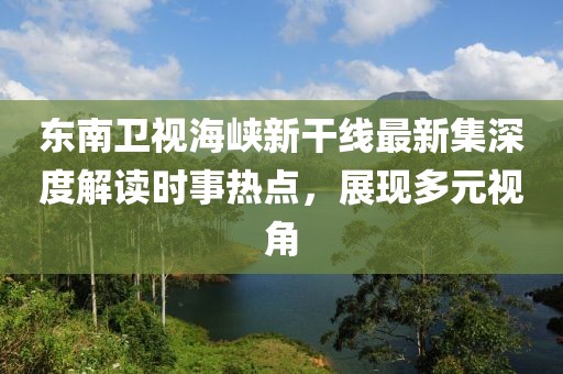 东南卫视海峡新干线最新集深度解读时事热点，展现多元视角