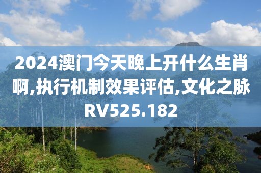 2024澳门今天晚上开什么生肖啊,执行机制效果评估,文化之脉RV525.182