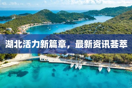 湖北活力新篇章，最新资讯荟萃