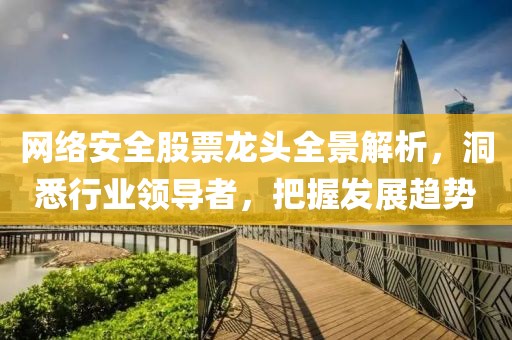 网络安全股票龙头全景解析，洞悉行业领导者，把握发展趋势
