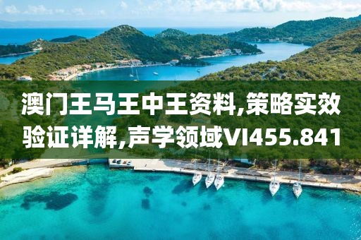 澳门王马王中王资料,策略实效验证详解,声学领域VI455.841
