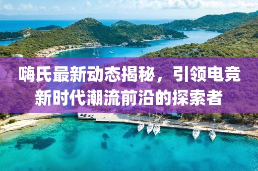 嗨氏最新动态揭秘，引领电竞新时代潮流前沿的探索者