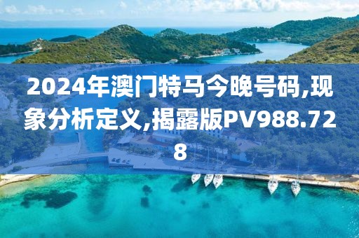 2024年澳门特马今晚号码,现象分析定义,揭露版PV988.728