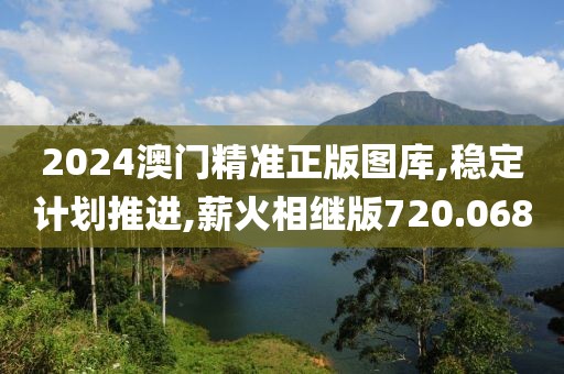 2024澳门精准正版图库,稳定计划推进,薪火相继版720.068