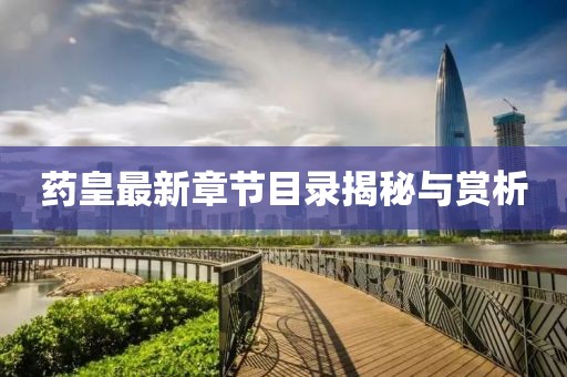 药皇最新章节目录揭秘与赏析
